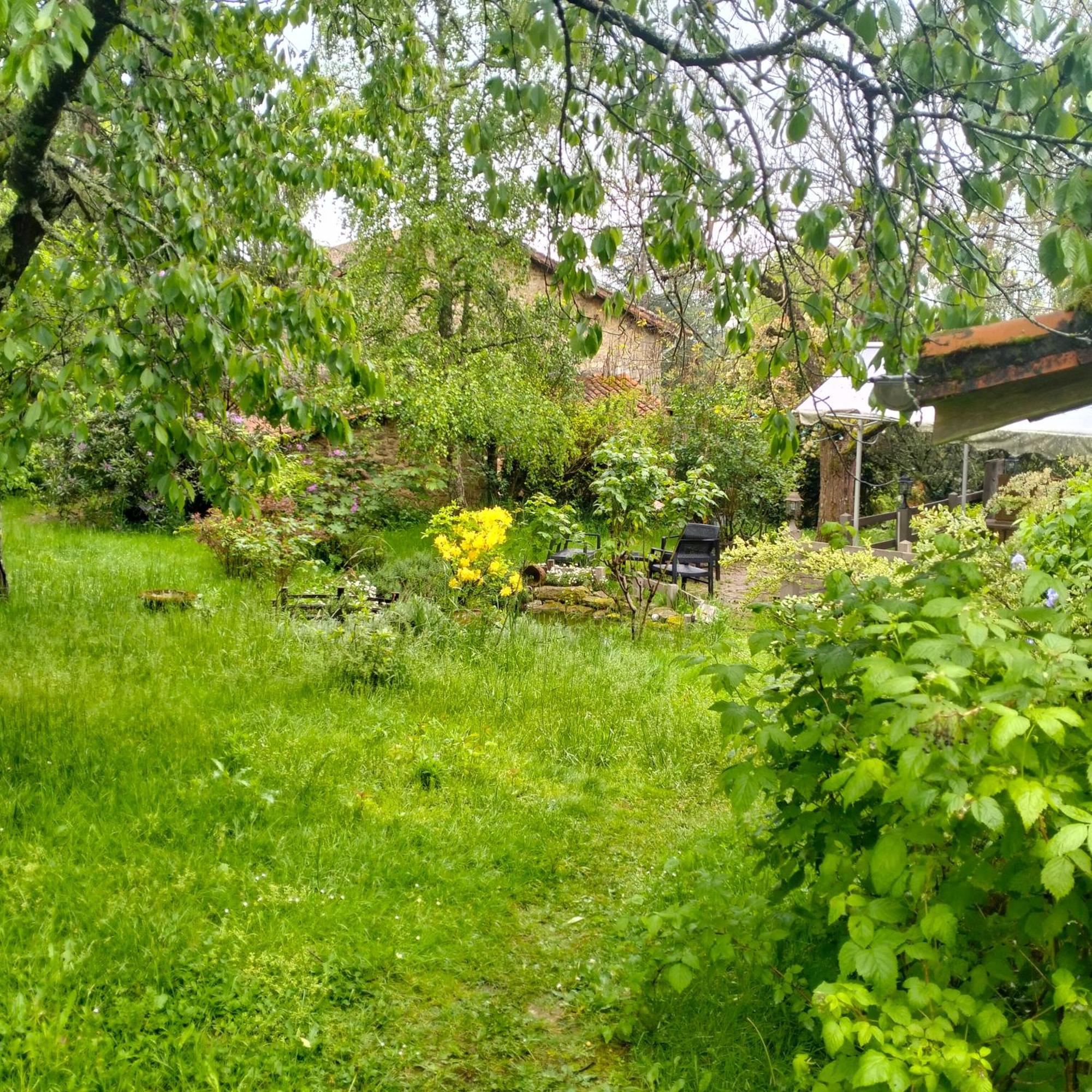 Chambres D'Hotes D'Antardieu Saint-Junien Luaran gambar